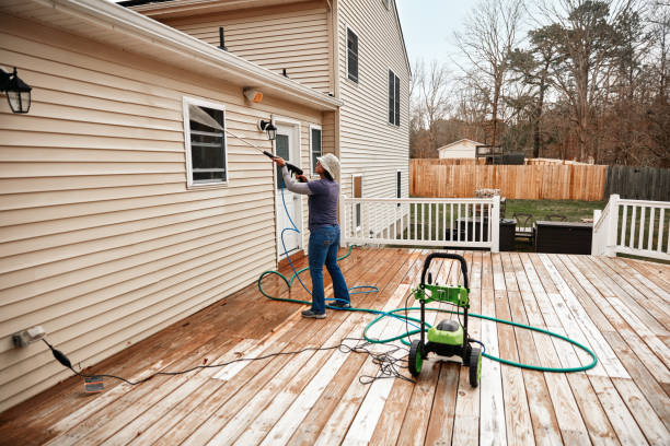 Best Affordable Pressure Washing  in Sullivan City, TX