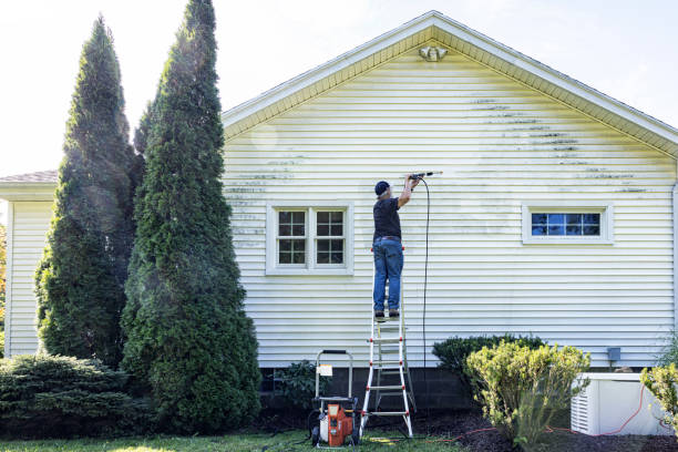 Best Roof Power Washing Services  in Sullivan City, TX